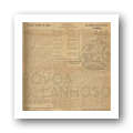 N.º 204 Jornal Póvoa de Lanhoso