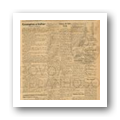Digital representation thumbnail