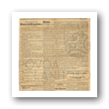 Digital representation thumbnail