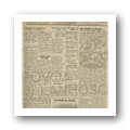 N.º 599 Jornal Póvoa de Lanhoso