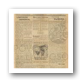 N.º 535 Jornal Póvoa de Lanhoso