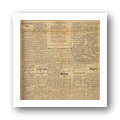 Digital representation thumbnail