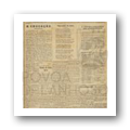 N.º 307 Jornal Póvoa de Lanhoso