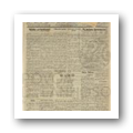 N.º 555 Jornal Póvoa de Lanhoso