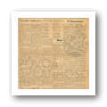 N.º 229 Jornal Póvoa de Lanhoso