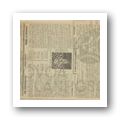 N.º 559 Jornal Póvoa de Lanhoso