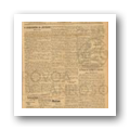 Digital representation thumbnail
