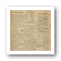 N.º 309 Jornal Póvoa de Lanhoso